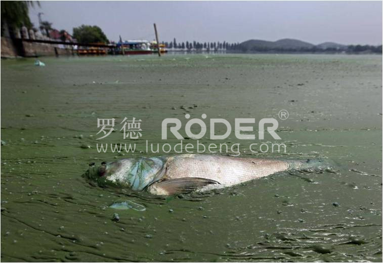 好色先生AV下载凸轮好色先生污版下载