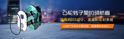 凸轮好色先生污版下载解决渣浆泵存在的问题